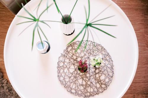 eine weiße Platte mit zwei Pflanzen auf dem Tisch in der Unterkunft La Playa Suites 1 in Periyiálion