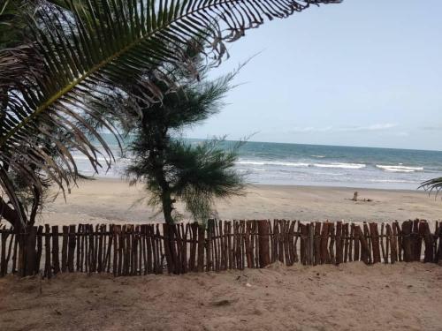 uma cerca de madeira numa praia com uma palmeira em Campement Nyabinghi em Abémé