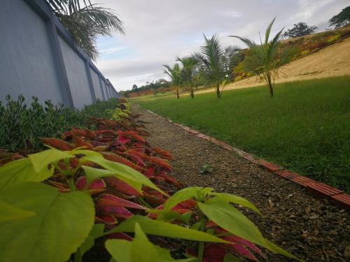 a garden with red plants next to a building at Marina Hotel in Noro