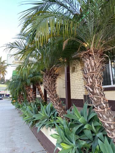 Taman di luar El Patio Inn - Near Universal Studios Hollywood