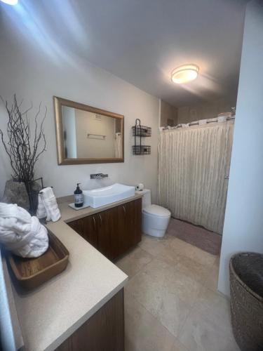 ein Badezimmer mit einem Waschbecken, einem WC und einem Spiegel in der Unterkunft Aquamar Oceanfront Suite 