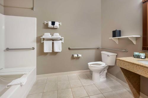 a bathroom with a toilet and a shower and a sink at Best Western Wheatland Inn in Colfax