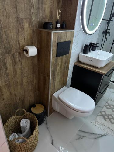 a bathroom with a white toilet and a sink at Saguna Residence2 in Sighişoara