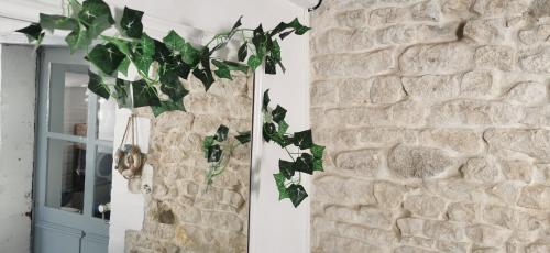a ivy hanging from a stone wall next to a door at La Maison du pêcheur - Jacuzzi 3 Etoiles in Jard-sur-Mer