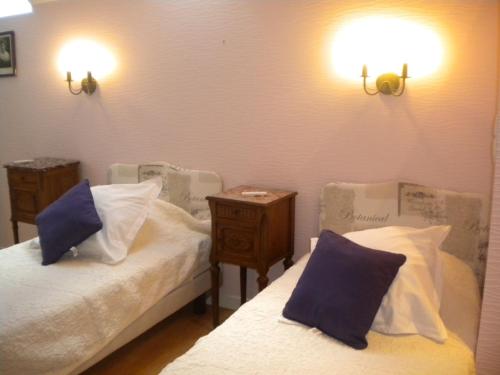 Zimmer mit 2 Betten und blauen Kissen in der Unterkunft Gîte Vennecy, 4 pièces, 6 personnes - FR-1-590-181 in Vennecy
