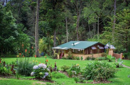 Riverside Casita- Hush Valley Lodge