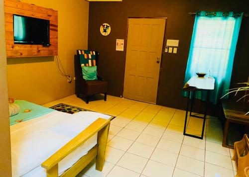 Schlafzimmer mit einem Bett, einem TV und einem Stuhl in der Unterkunft City Garden 2 Apartment in Belize City