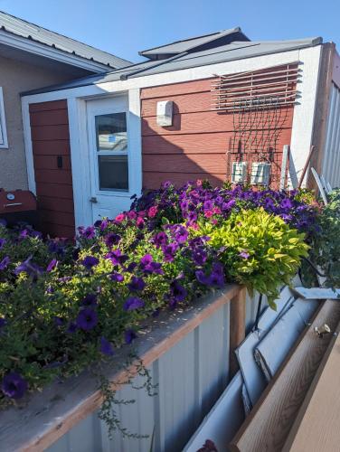 Wildgoose Accommodation – Photos 5