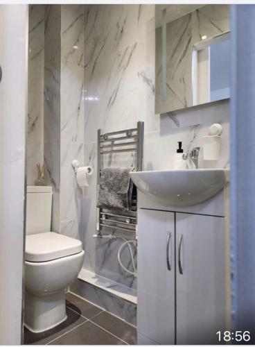 La salle de bains blanche est pourvue d'un lavabo et de toilettes. dans l'établissement Cozy Guest House, à Kent