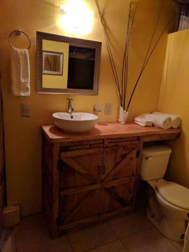 Riverside Studio- Hush Valley Lodge – Photos 5