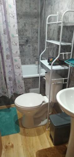 a bathroom with a toilet and a sink at Cabaña Los Pajaritos dos de Frutillar in Frutillar