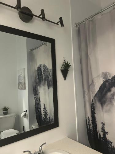 a bathroom with a mirror and a sink at Le St-Augustin in Mirabel