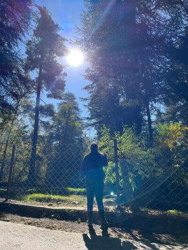 a person standing in front of a fence at Flüstern Manali in Nagar