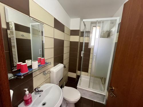 La salle de bains est pourvue de toilettes, d'un lavabo et d'une douche. dans l'établissement Cabana Didana, à Moneasa