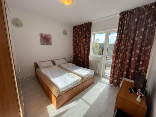 a small bedroom with a bed and a window at Cabana Didana in Moneasa