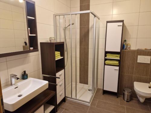 bagno con doccia, lavandino e servizi igienici di Apart Plattner ad Arzl im Pitztal