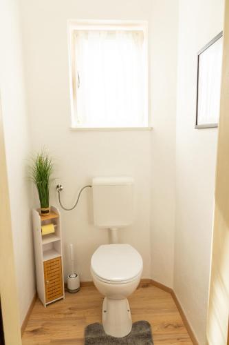 a bathroom with a white toilet and a window at Knollgut Ferienwohnung Buchberg in Goldegg