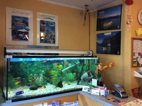 a fish tank on a counter in a store at Belle Bonne Motel in Christchurch