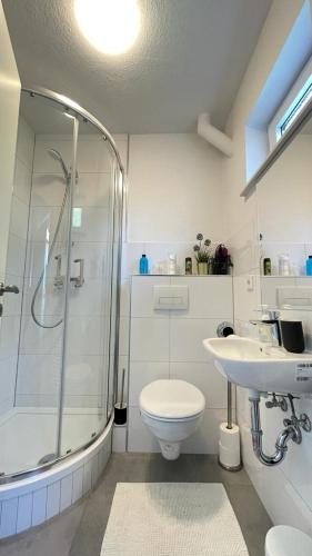 布萊梅的住宿－Air Apartments 8，带淋浴、卫生间和盥洗盆的浴室