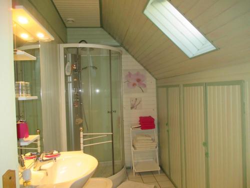 Plouër-sur-RanceにあるLe Clos des Fontainesのバスルーム(シャワー、シンク付)