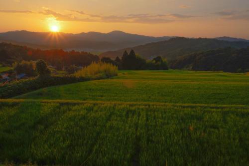 a green field with the sunset in the background at Kaya Yamanoie in Yosano
