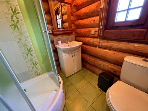 La salle de bains est pourvue de toilettes et d'un lavabo dans une cabane en rondins. dans l'établissement Ubytovanie Koliba Pacho - Zrub Anicka, à Prievidza