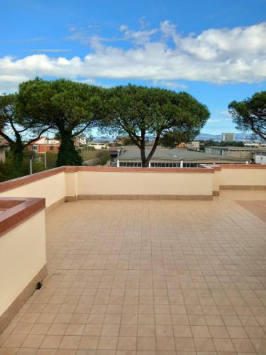a balcony with two trees in the background at Il Brindisi di C & C Castelli Romani in Pomezia