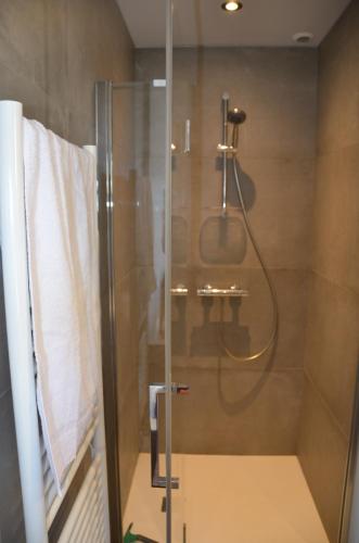 a shower with a glass door in a bathroom at Le Panorama du Lac in Sévrier