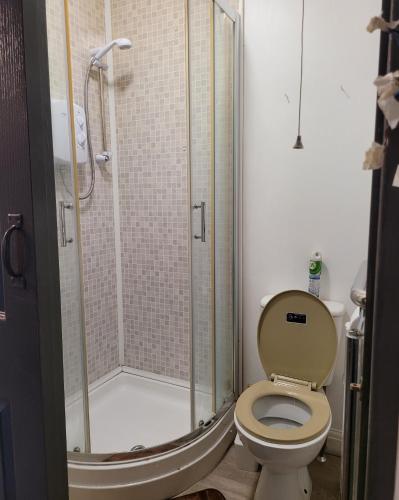 a bathroom with a toilet and a shower at Evergreen 2bedroom-sleeps up to 7,2 bathroom in Hornchurch