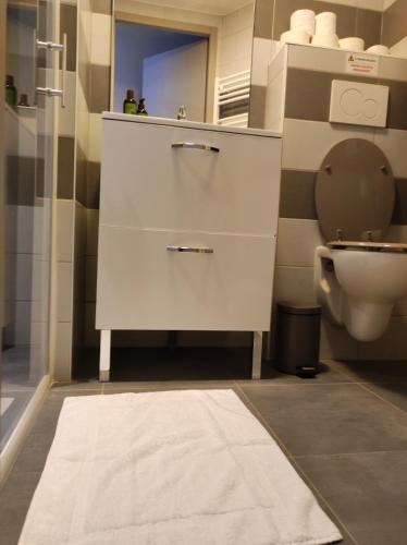 une salle de bain avec un lavabo et des toilettes dans l'établissement Le LUX 31, à Thionville