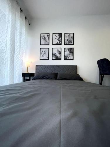 a bedroom with a large bed with pictures on the wall at Bahnhofsapartment Lörrach in Lörrach
