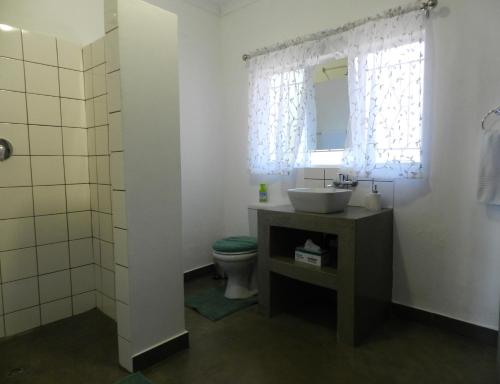 La salle de bains est pourvue d'un lavabo, de toilettes et d'un miroir. dans l'établissement President Paul Kruger Guest Lodge, à Rustenburg