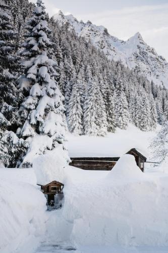 Heimspitze - Alpenhotel SKI-IN & Wirtshaus photo 2