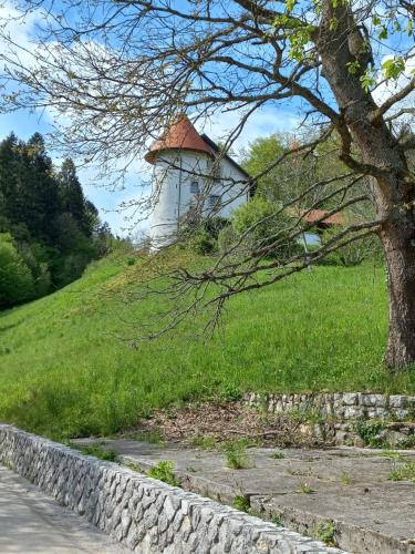 budynek na szczycie trawiastego wzgórza z drzewem w obiekcie Lauda i bric w mieście Mirna