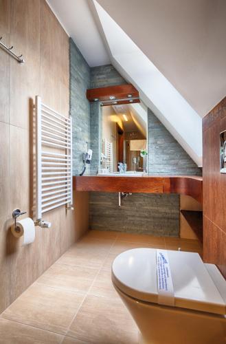 a bathroom with a toilet and a mirror at Willa Kmicic in Zakopane