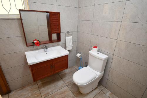 Anse aux Pins的住宿－礁石假日公寓，一间带卫生间、水槽和镜子的浴室