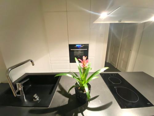 a kitchen with a sink and a plant on a counter at Design studio in Punavuori in Helsinki