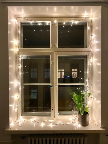 a window with lights and a potted plant at Design studio in Punavuori in Helsinki