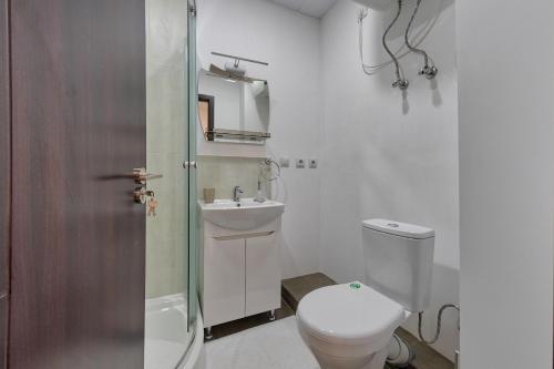 een badkamer met een toilet, een wastafel en een douche bij New Tiflis Apartment Plekhanovi in Tbilisi City