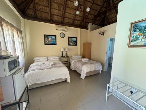 1 dormitorio con 2 camas y TV. en Blue Diamond Lodge & Spa, en Springbok