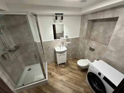 a bathroom with a shower and a toilet and a sink at Nysa River Apartments Zgorzelec in Zgorzelec