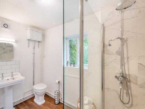 a bathroom with a shower and a toilet and a sink at South Lodge- Uk45600 in Southwell