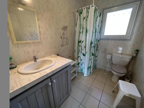 a bathroom with a sink and a toilet and a window at Gite de balloche in Grenade-sur-lʼAdour