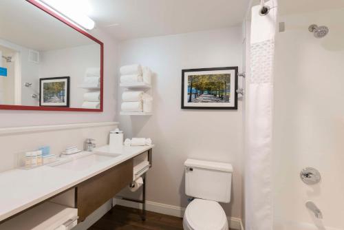 Bilik mandi di Hampton Inn Cincinnati Airport South