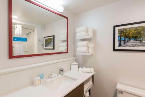 a bathroom with a sink and a mirror at Hampton Inn Cincinnati Airport South in Florence