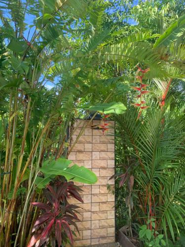 a brick path in a garden with plants at Pajaree and Udo‘s Happy Homestay in Trang