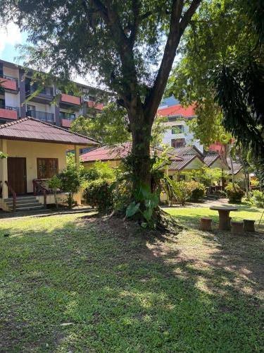 a park with a tree and benches and buildings at Adam Bungalows in Krabi town