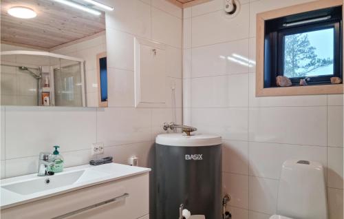 Baño pequeño con lavabo y aseo en 4 Bedroom Amazing Home In Vatnestrm, en Svaland