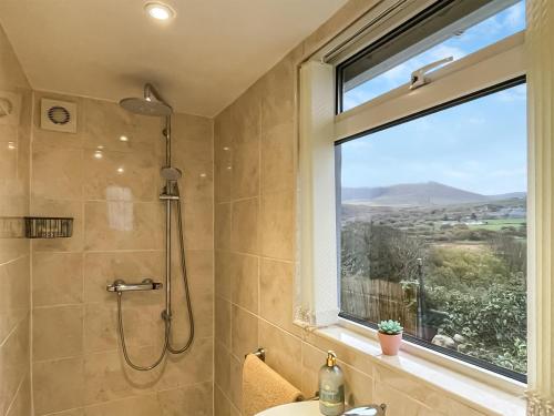 a bathroom with a shower and a window at Hyfrydle Cottage in Pen-y-groes