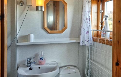 bagno con lavandino, servizi igienici e specchio di 2 Bedroom Stunning Home In Rennesy a Hanasand